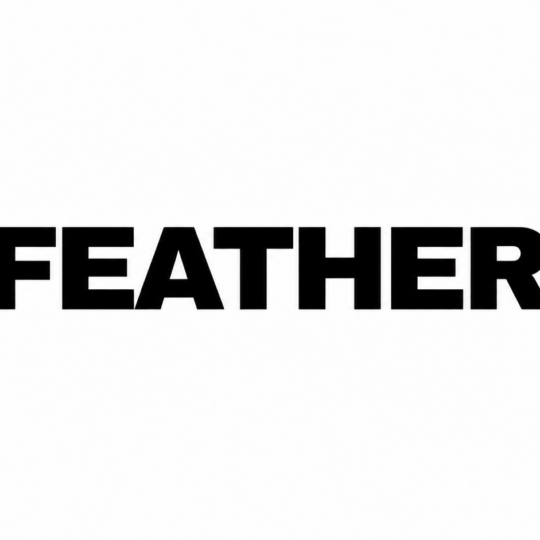 Feather Raises $7.6M in Pre-Seed Funding to Build Humanoid Platform for Third-Party Developers