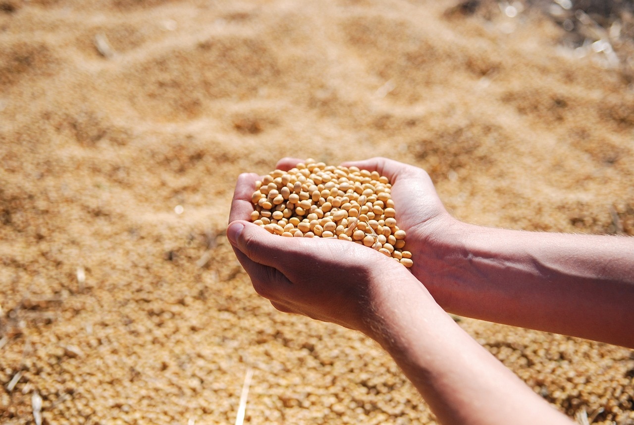 Soybeans Rally with the Products on Friday